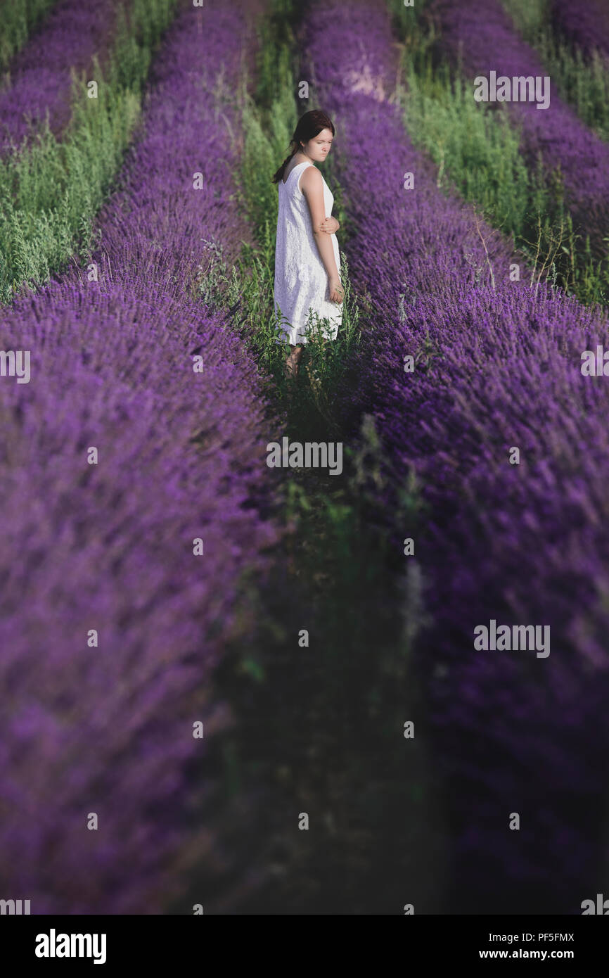 Una niña en un vestido blanco de pie en un campo lila en Provence, Francia Foto de stock