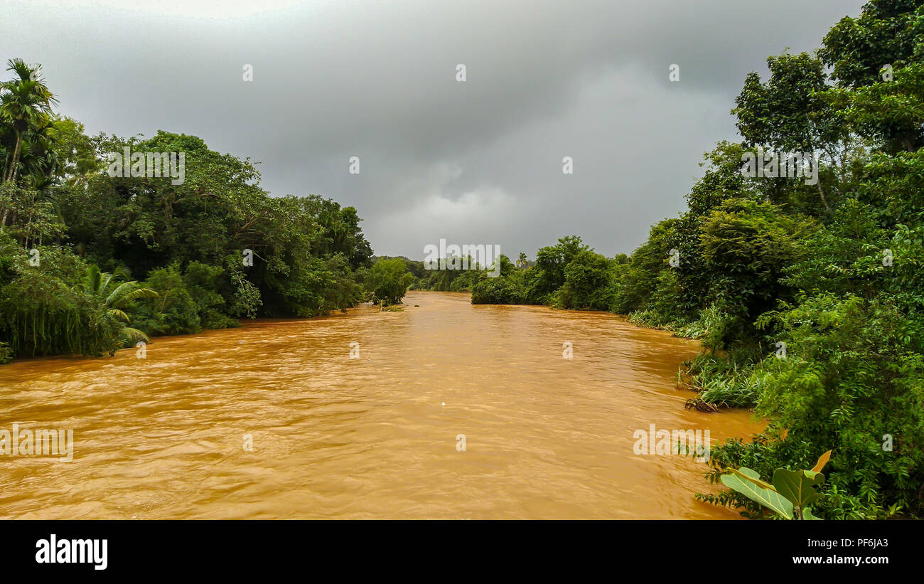 El agua sucia que fluye en el río rodeado de árboles verdes y el puente en la parte superior Foto de stock