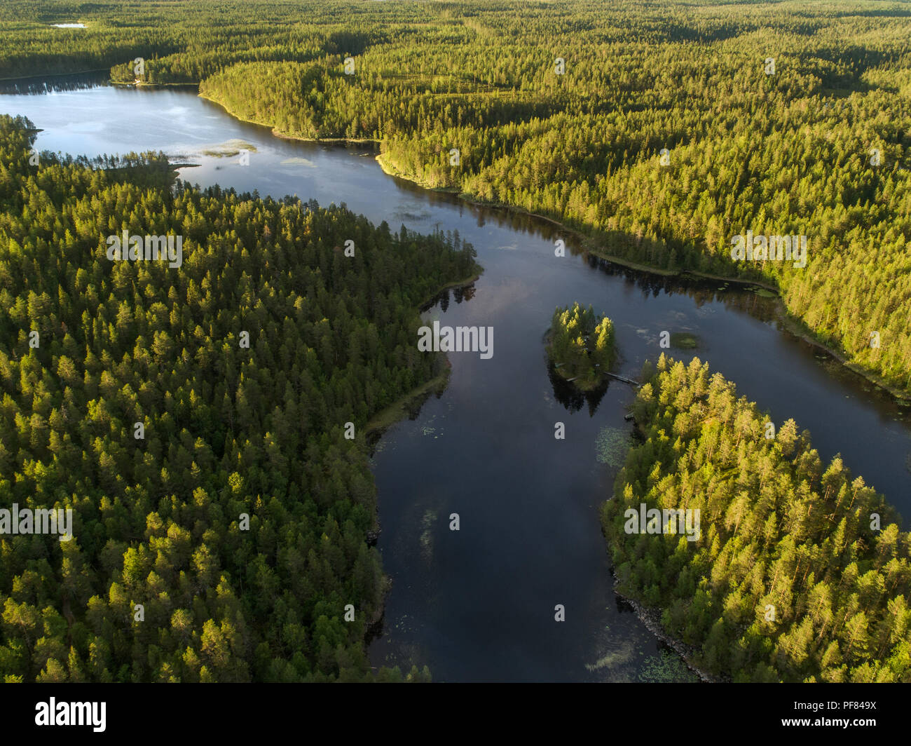 Vista aérea de un lago rodeado de densos bosques de taiga aka boreal en el Parque Nacional de Oulanka, Finlandia Foto de stock