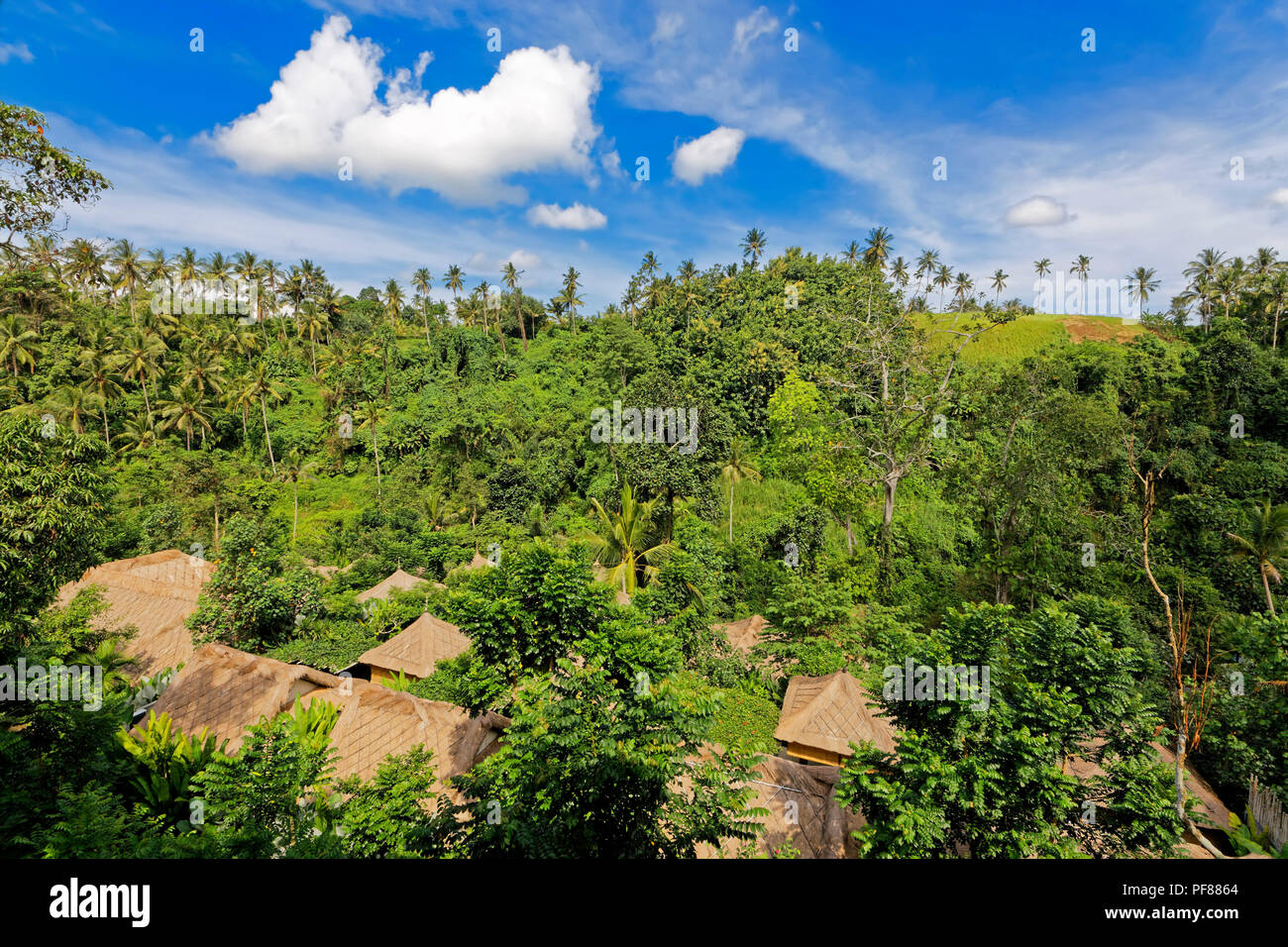 Resort de techos en el valle del río Sayan, Ubud, Bali. Foto de stock