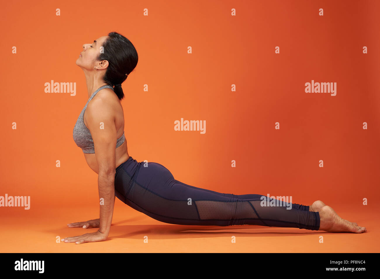 Perro boca arriba yoga plantean mujer realizando sobre fondo de color naranja studio Foto de stock