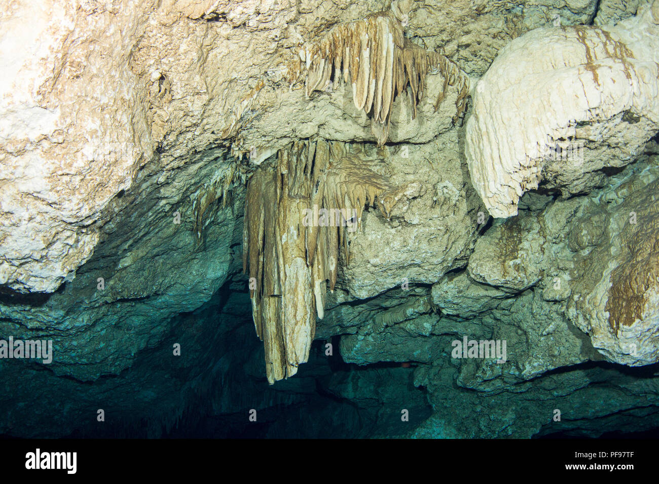 Colgantes estalactitas en el Cenote Tajma Ha cueva submarina, Playa del Carmen, Quintana Roo, México. Foto de stock