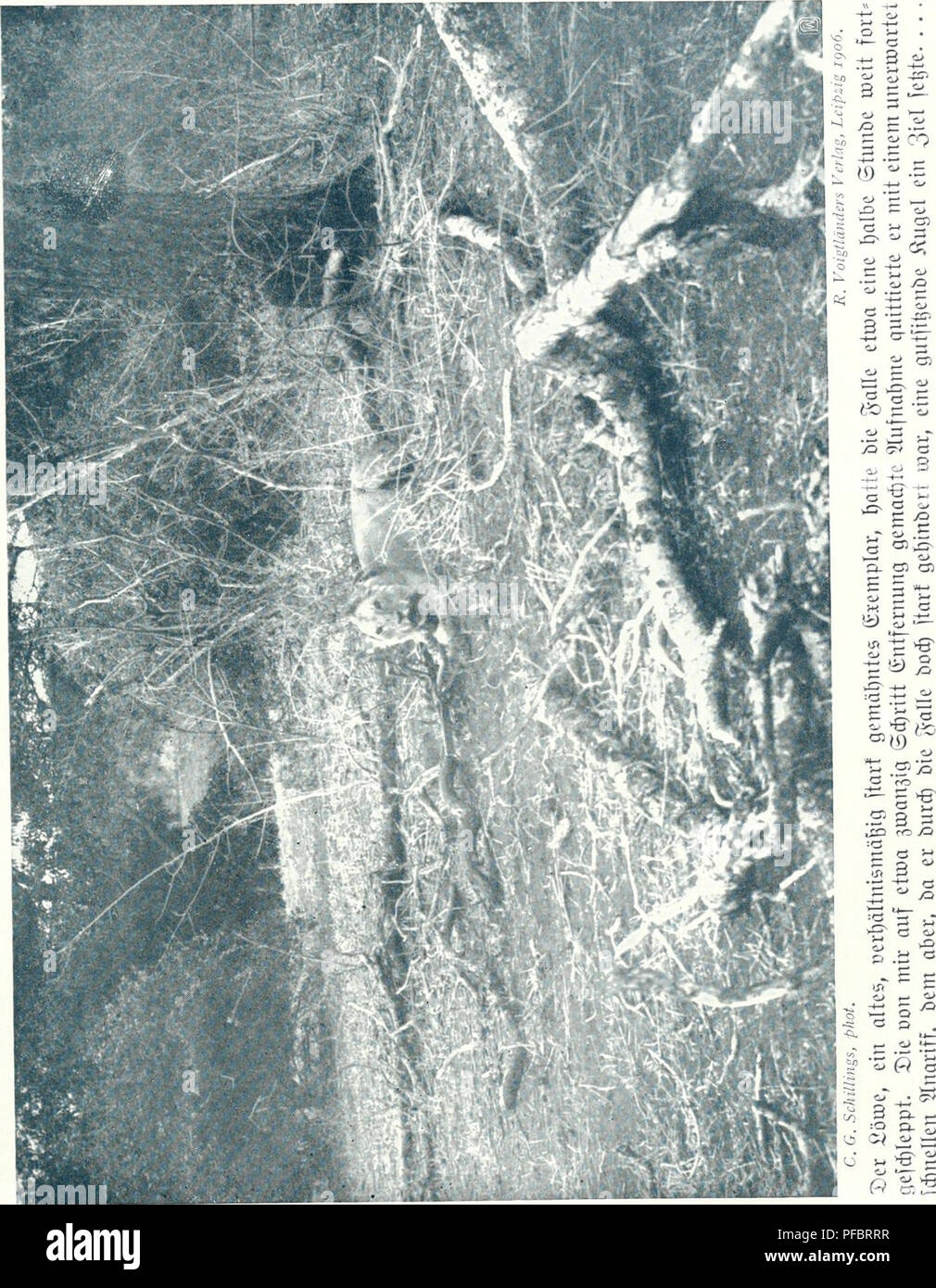 Der Zauber Des Elelescho A Vo P A A B G Gt A Q S O O H 1a S Q Cn A C S P E