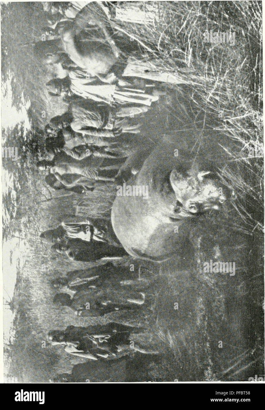 H E A T Fotos E Imagenes De Stock Pagina 356 Alamy