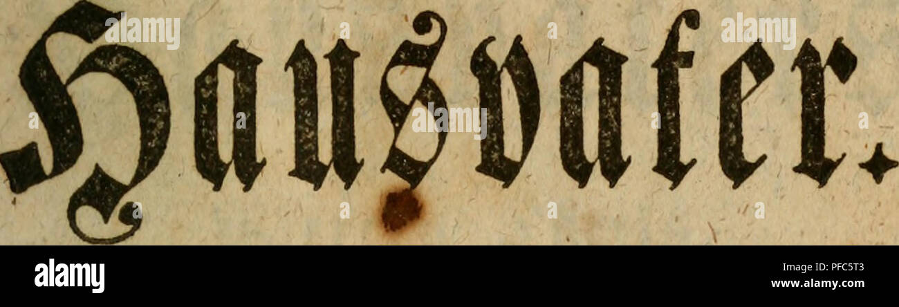 . Der Hausvater ... La agricultura, la economía doméstica; la botánica; Agricultura; Ciencia; Plantas. t)a. gsicrter 5:|)eil 1769*. Por favor tenga en cuenta que estas imágenes son extraídas de la página escaneada imágenes que podrían haber sido mejoradas digitalmente para mejorar la legibilidad, la coloración y el aspecto de estas ilustraciones pueden no parecerse perfectamente a la obra original. Münchhausen, Otto, Freiherr von, 1716-1774. Hannover, Försters und Sohns Erben Foto de stock