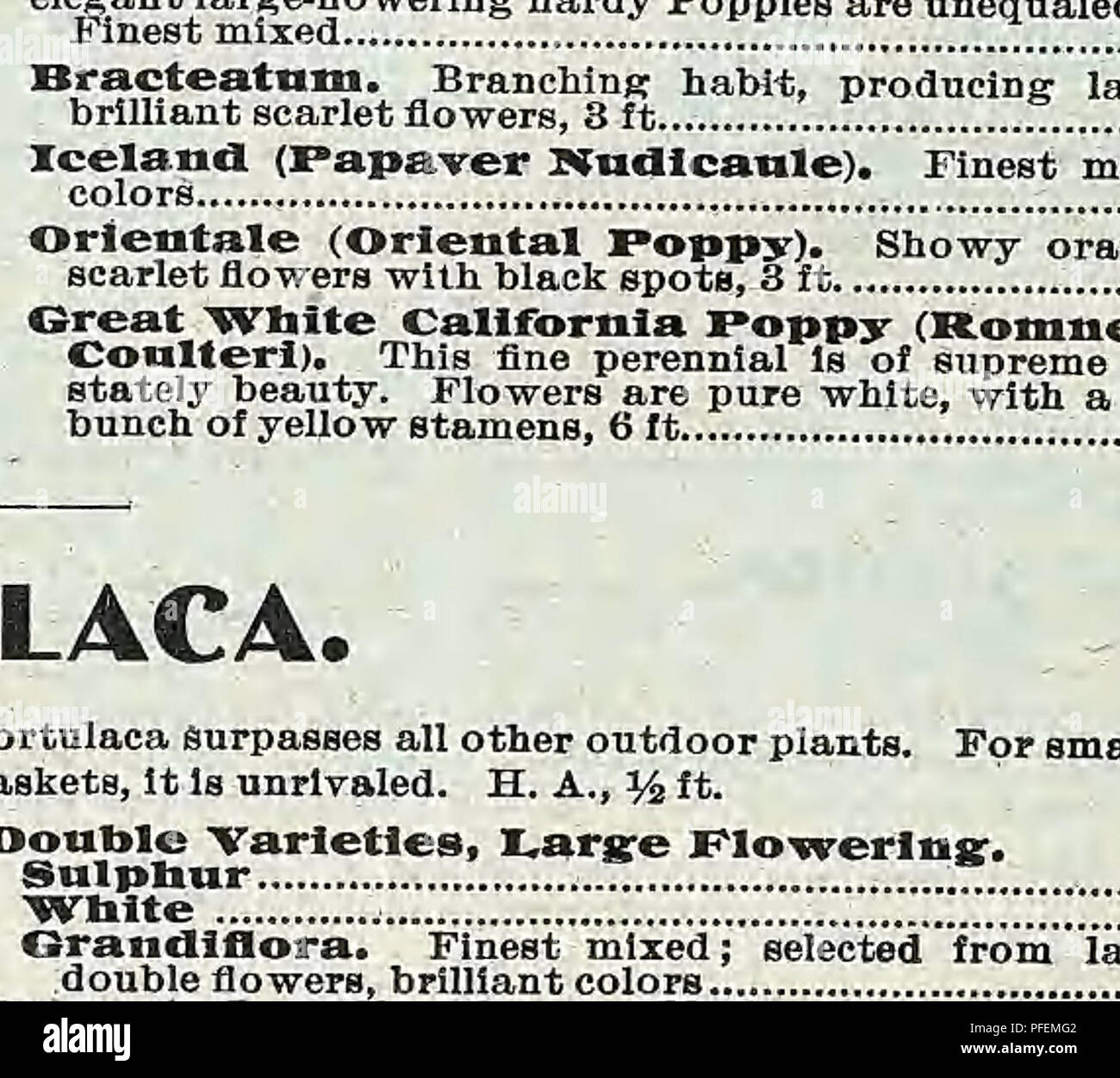 Catálogo Descriptivo de verduras, flores y semillas agrícolas. Viveros  (horticultura); viveros; semillas; las bombillas (Plantas); la jardinería;  EQUIPOS Y SUMINISTROS; plantas de jardín; Weeber \u0026Amp; Don. Ricinus  sanguineus. Pkt, nvnFTHni ll^l -^^