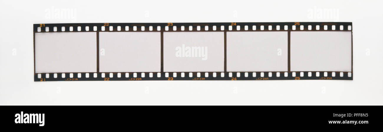 Tira de película de 35mm en blanco Foto de stock