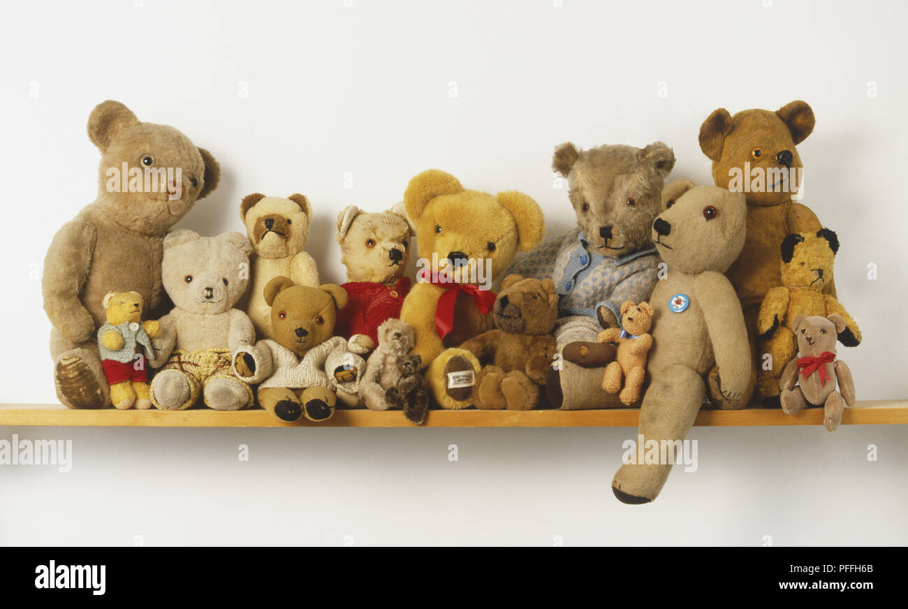 En la estantería: colección de osos de peluche dispuestos en el estante de  pared, vista frontal Fotografía de stock - Alamy