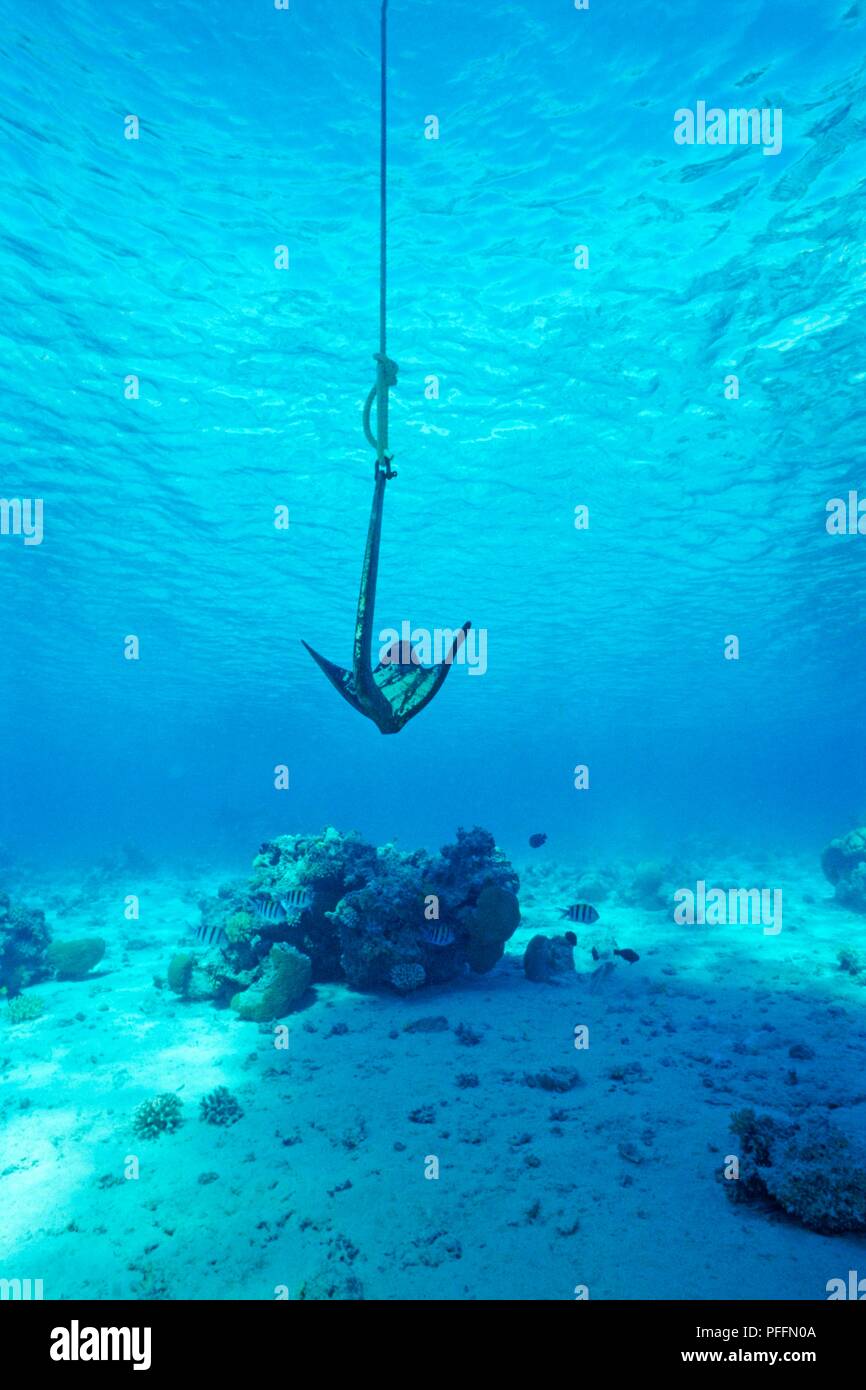 Ancla del fondo del mar fotografías e imágenes de alta resolución - Alamy