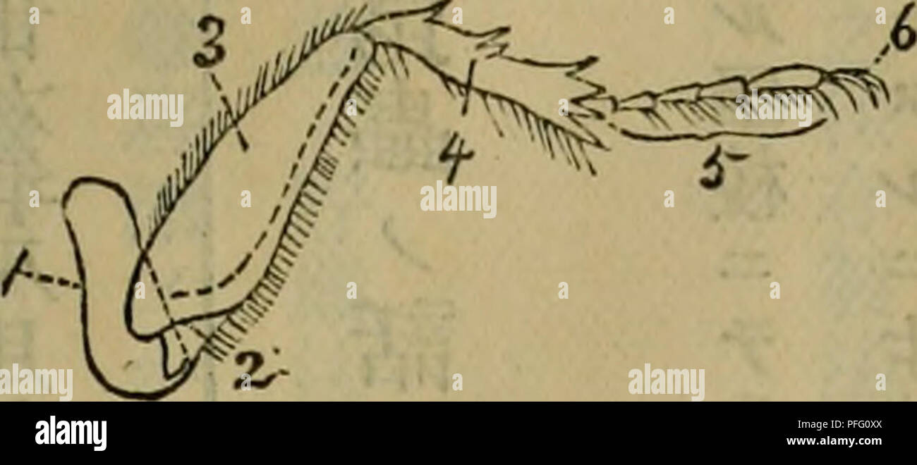 Dbutsugaku Zasshi Zoologia Zoologia Ae Aºaaea A A Ae A Ae c Aee e A C Aºa Aºa A A aaa e Nae ªa A aa a A E E C E A A e A A ªaa E A E A Ac A Aºe Ae Aµa Aºaac A E Ac Aºe A Aªc A A C Aºe A C A