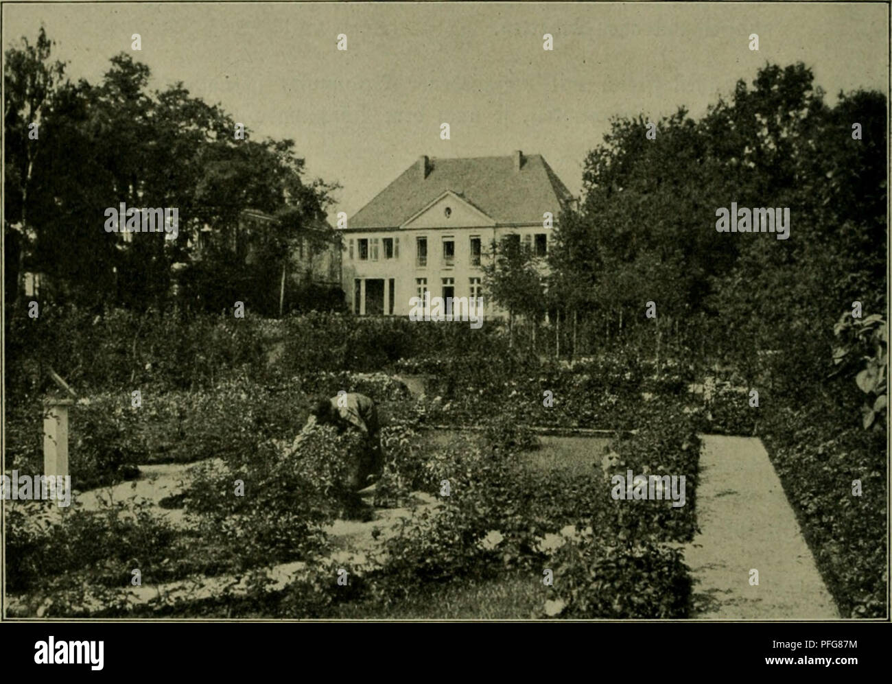 Das Leben Der Pflanze Las Plantas Plantas Plantas Phytogeography 76 Ss 2ib C Nitt 2 Q Flan Ne Felbft Efd Iel T Bann En 3 Npaffung Un Naturgemasse Unb Un Gebaute C Tanbortc M Erften Aue Irerben 3flanjen Gewahlt