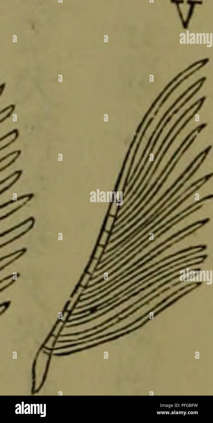 Ca4 Fotos E Imagenes De Stock Alamy