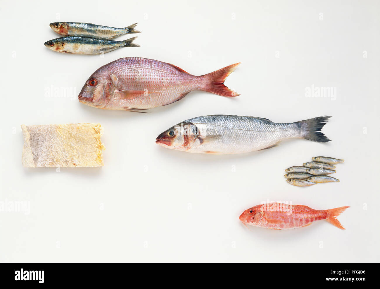 Pescado fresco, incluyendo, de arriba a abajo, las sardinas, el besugo, la lubina, el Whitebait y salmonete, y un trozo de bacalao salado, vista lateral. Foto de stock