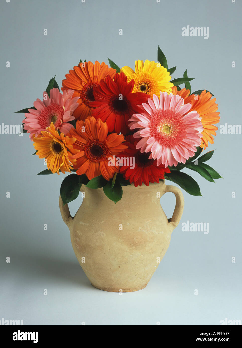 Gerbera sp., naranja, rojo, amarillo y rosa flores en vasija de barro. Foto de stock