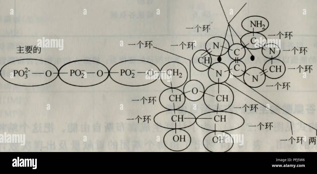 Dai Xie Cheng Gong Botanica Coao 2ach Ach Oacoach2nh3 Oco Chz Ch2aach A A B A 14 2e Ae E C Aei A Ae Ae E Ae Acaºa I B E C 14 14 Aaºa E C A E C E Ae E Caecaa Ae Eªc E Acoo Anh Aºa Aea Ae A Aºc Ae Ae E C Kj Mol Aº A 1 A