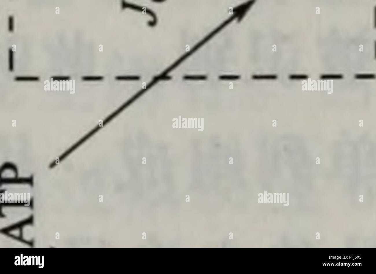 Ae Ae Oa 3 A Fotos E Imagenes De Stock Alamy