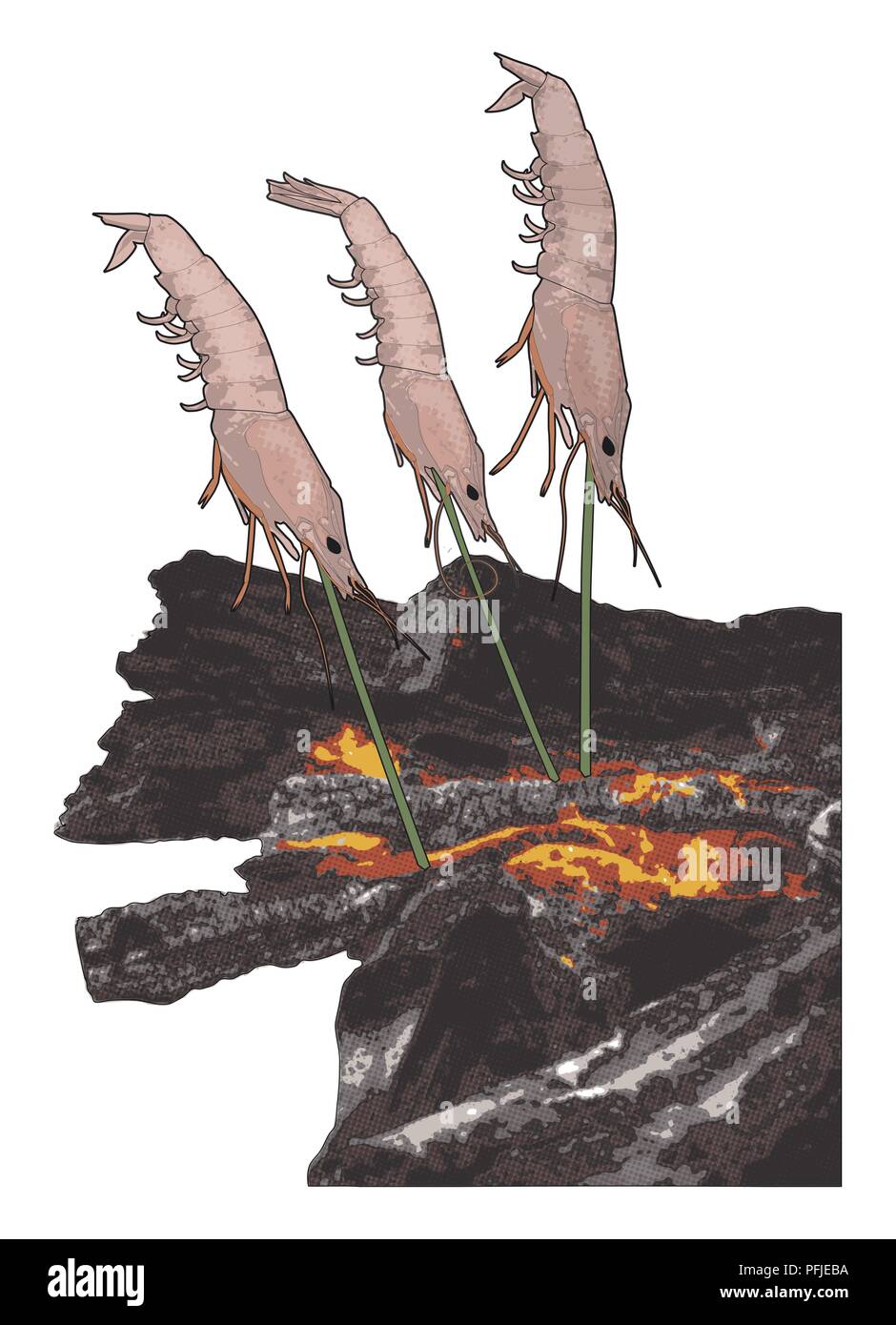 Compuesta Digital ilustración de tres camarones en brochetas de palo verde pegada en el suelo en ángulo sobre ascuas calientes Foto de stock