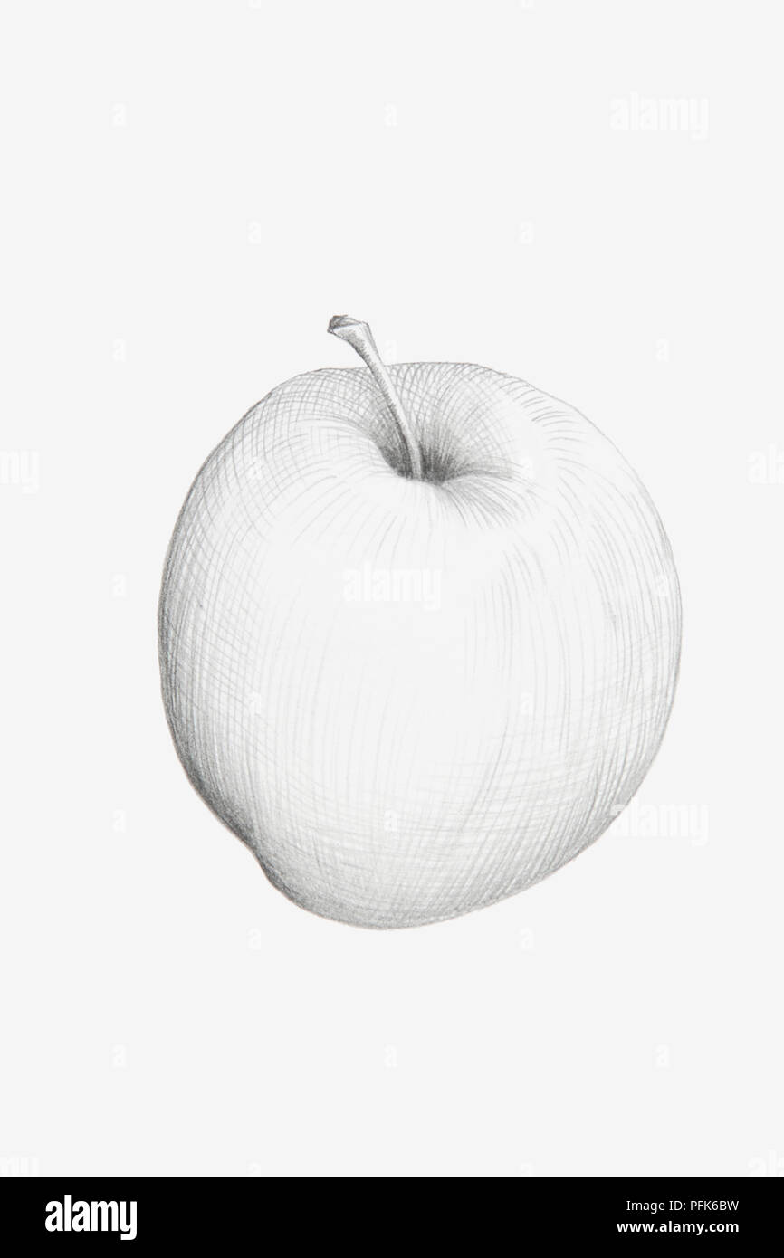 Dibujo a lápiz blanco y negro fotografías e imágenes de alta resolución - Alamy Dibujo a lápiz blanco y negro fotografías e imágenes de alta resolución - Alamy
