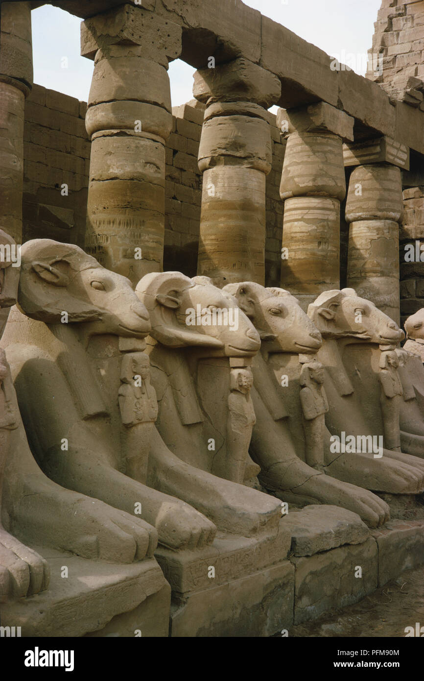 Egipto, Tebas, la fila de encabezado de la ram esfinge, una manifestación del dios Amon Ra, en frente del templo de Amon Ra, el templo de Karnak. Foto de stock
