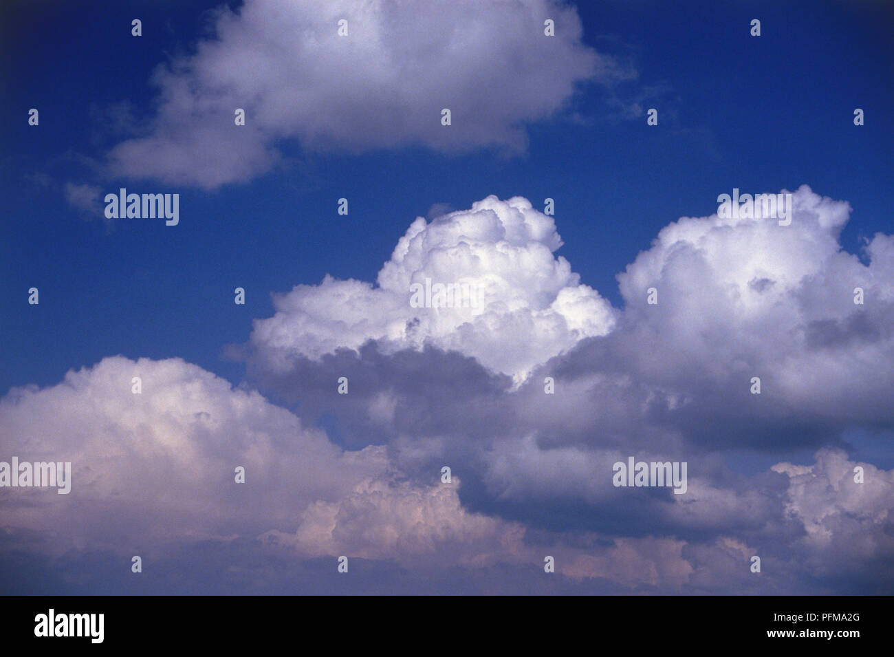 Cumulus congestus, Large white clouds de germinación, de gran extensión vertical, abultadas piezas superiores tienen forma de coliflor, en el cielo azul profundo. Foto de stock