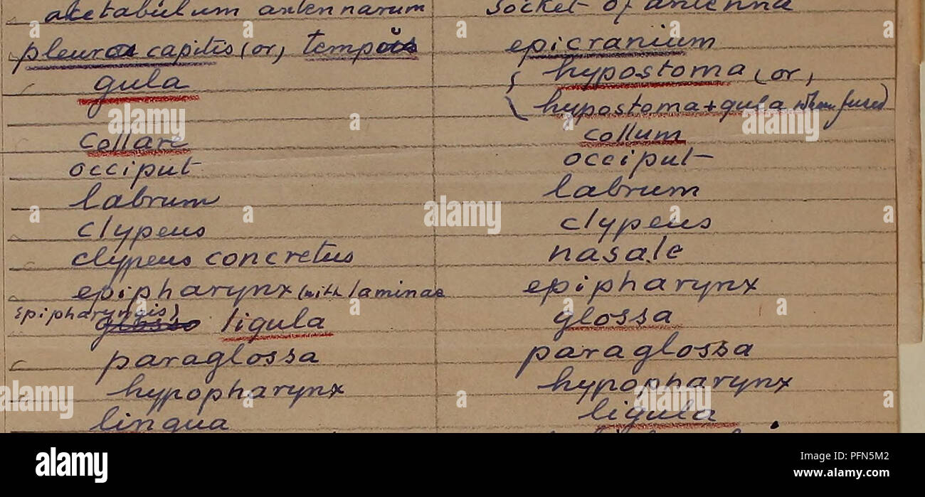 Ae Ri Fotos E Imagenes De Stock Alamy