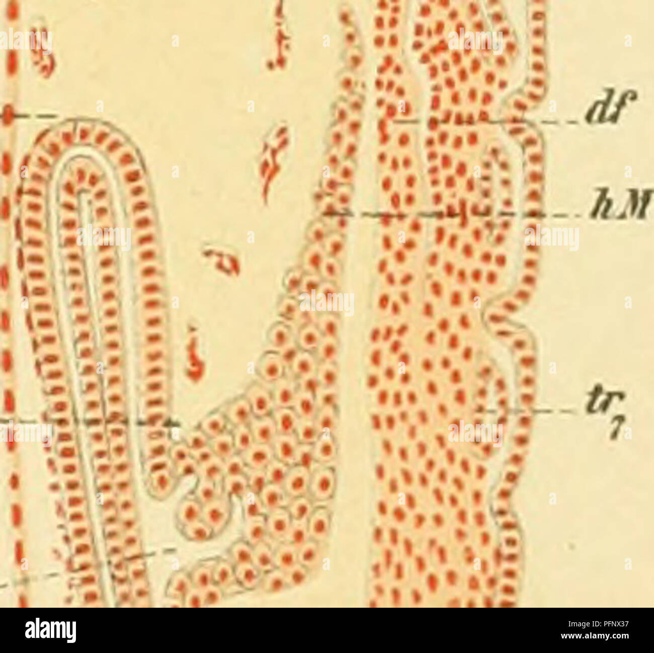 Denkschriften Der Kaiserlichen Akademie Der Wissenschaften Mathematisch Naturwissenschaftliche Classe Me Zl Js Rr R X