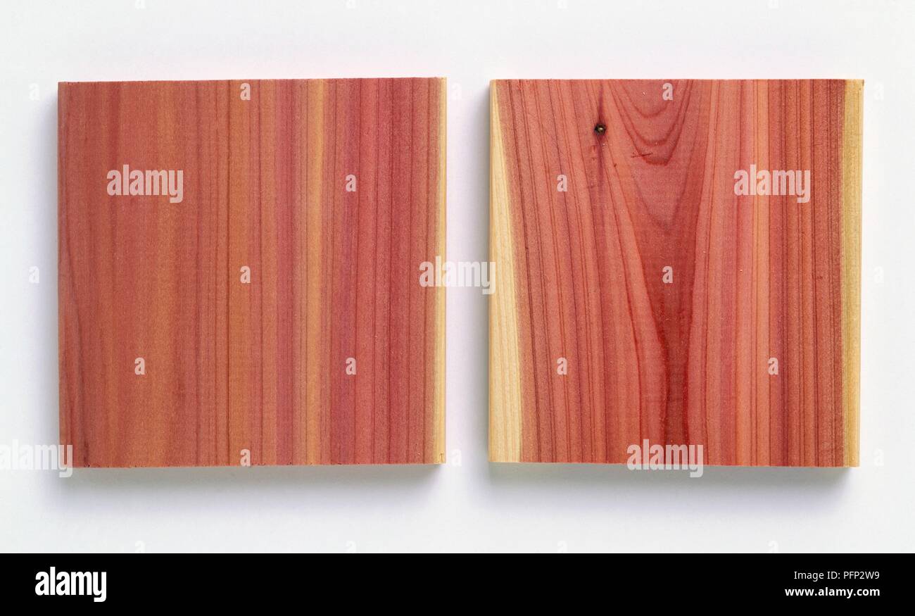 Dos bloques de madera de cedro mostrando el grano en la superficie lisa Foto de stock