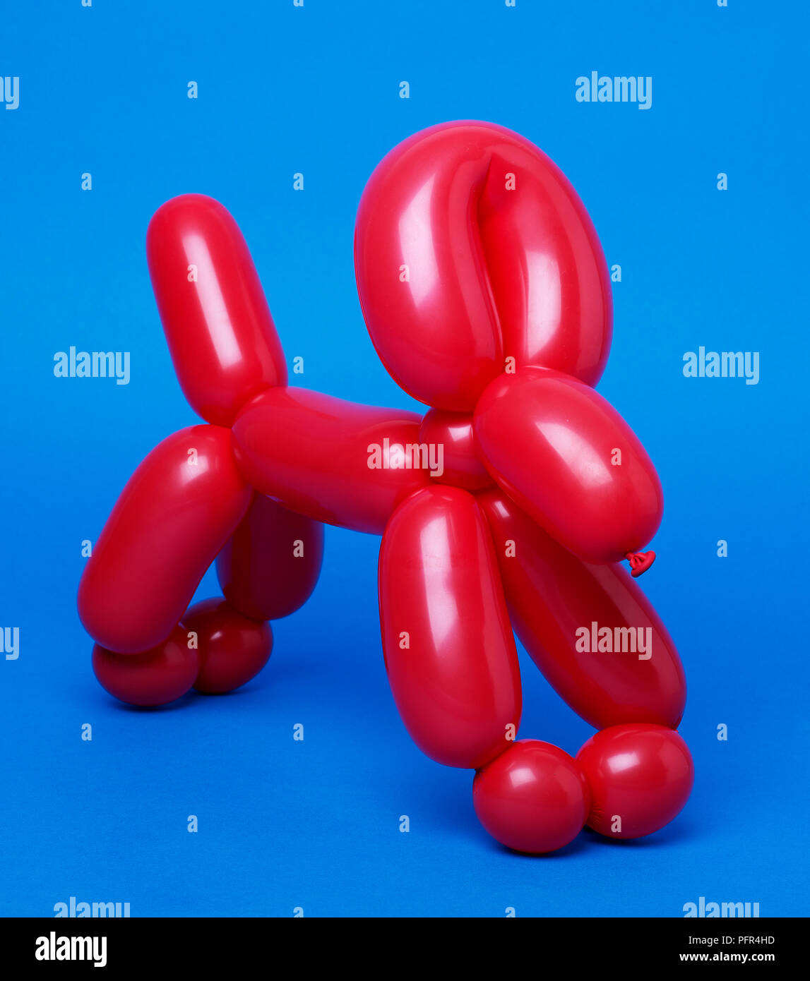 El perro de globo rojo sobre fondo azul. Foto de stock