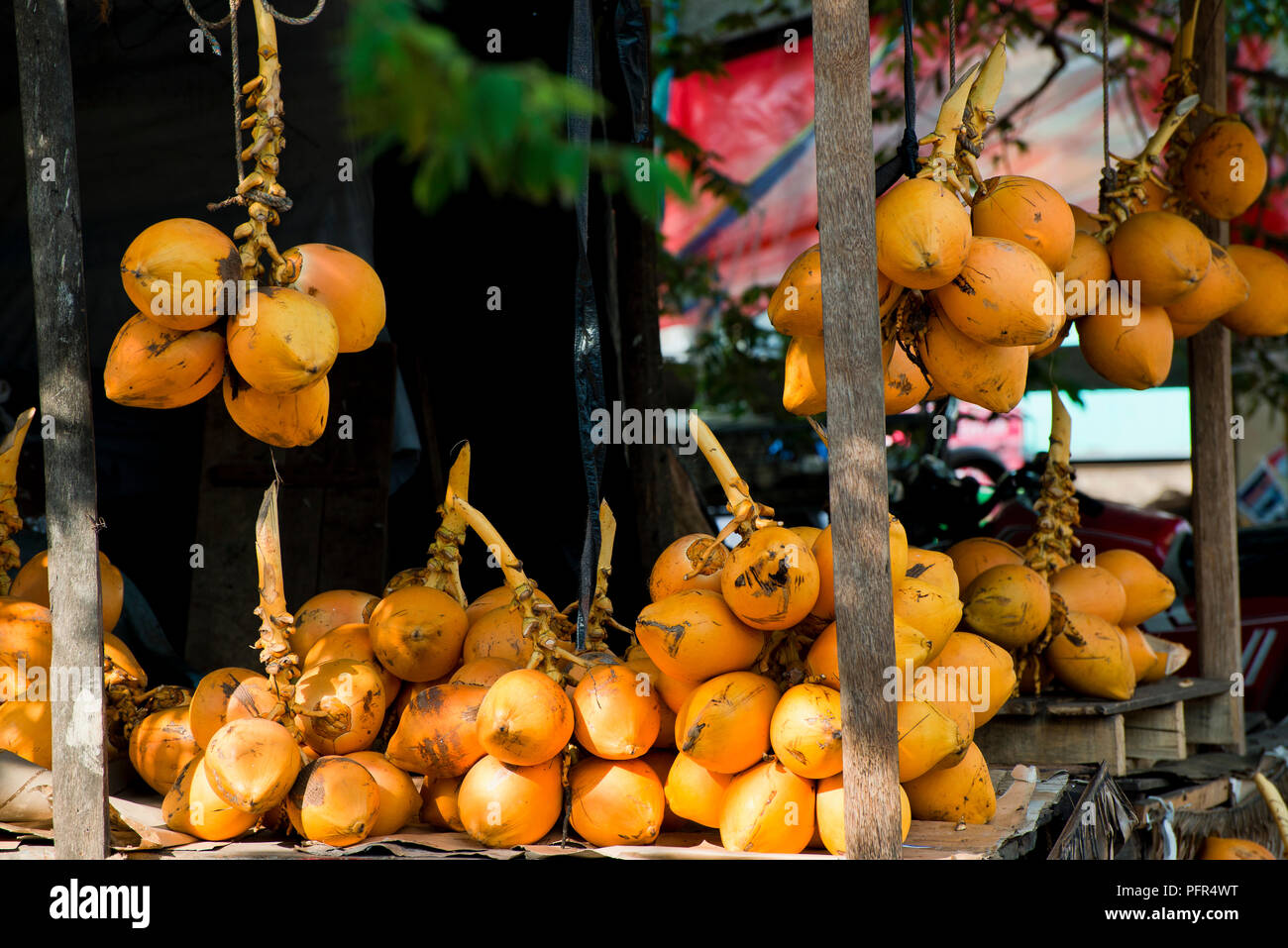 Sri Lanka, cocos para la venta en el mercado, close-up Foto de stock