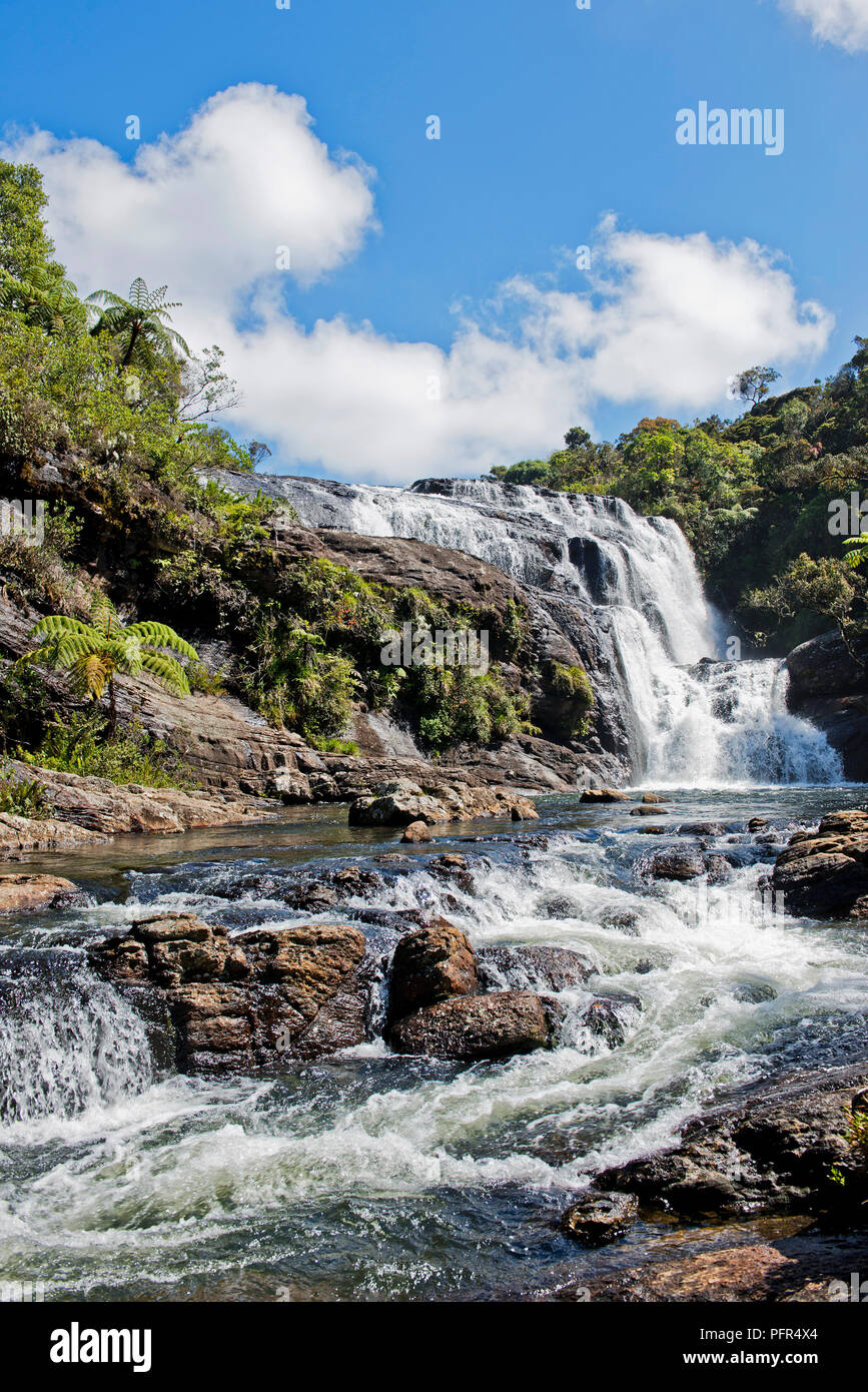 Sri Lanka, provincia de Uva, Nuwara Eliya, Baker's Falls, el Parque Nacional de Horton Plains, vista de la cascada Foto de stock