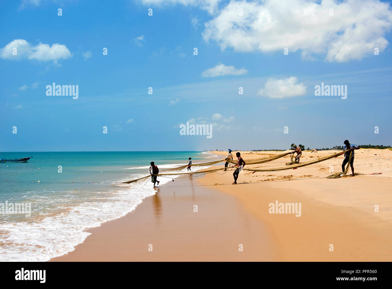 Sri Lanka, en la Provincia Nororiental, Península de Jaffna, Jaffna Manalkadu, pescadores tirando de la red de pesca en la playa Foto de stock