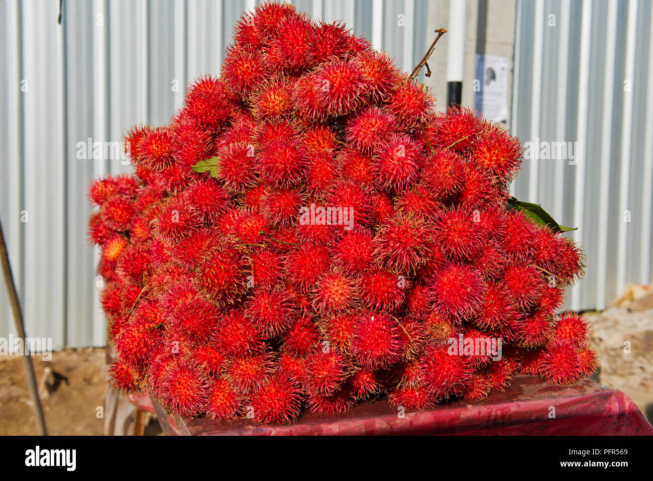 Sri Lanka, en la provincia occidental, Colombo, Ja-Ela, montón de rambutan fruto Foto de stock