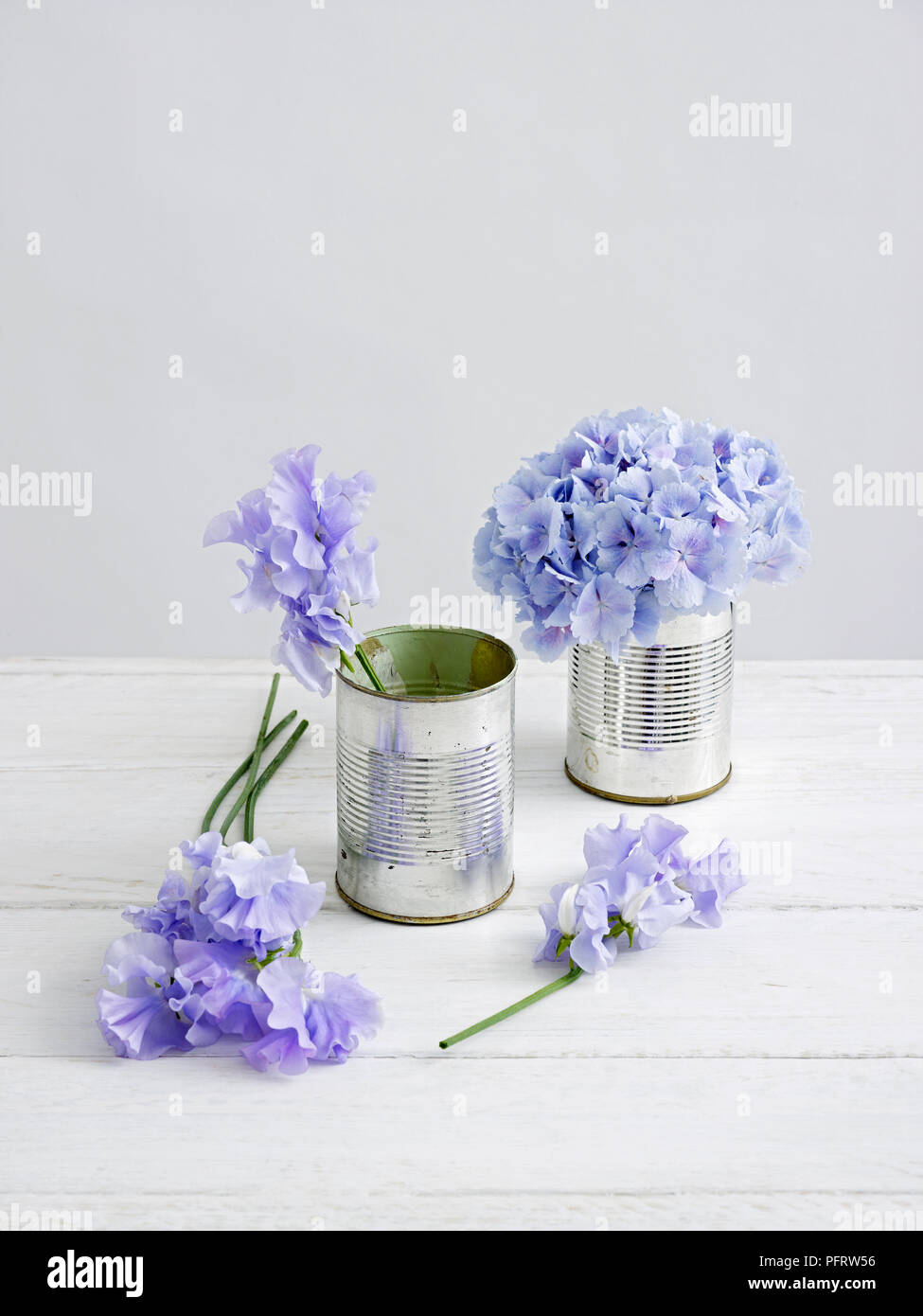Crear hydrangea arreglo floral en latas de hojalata Foto de stock