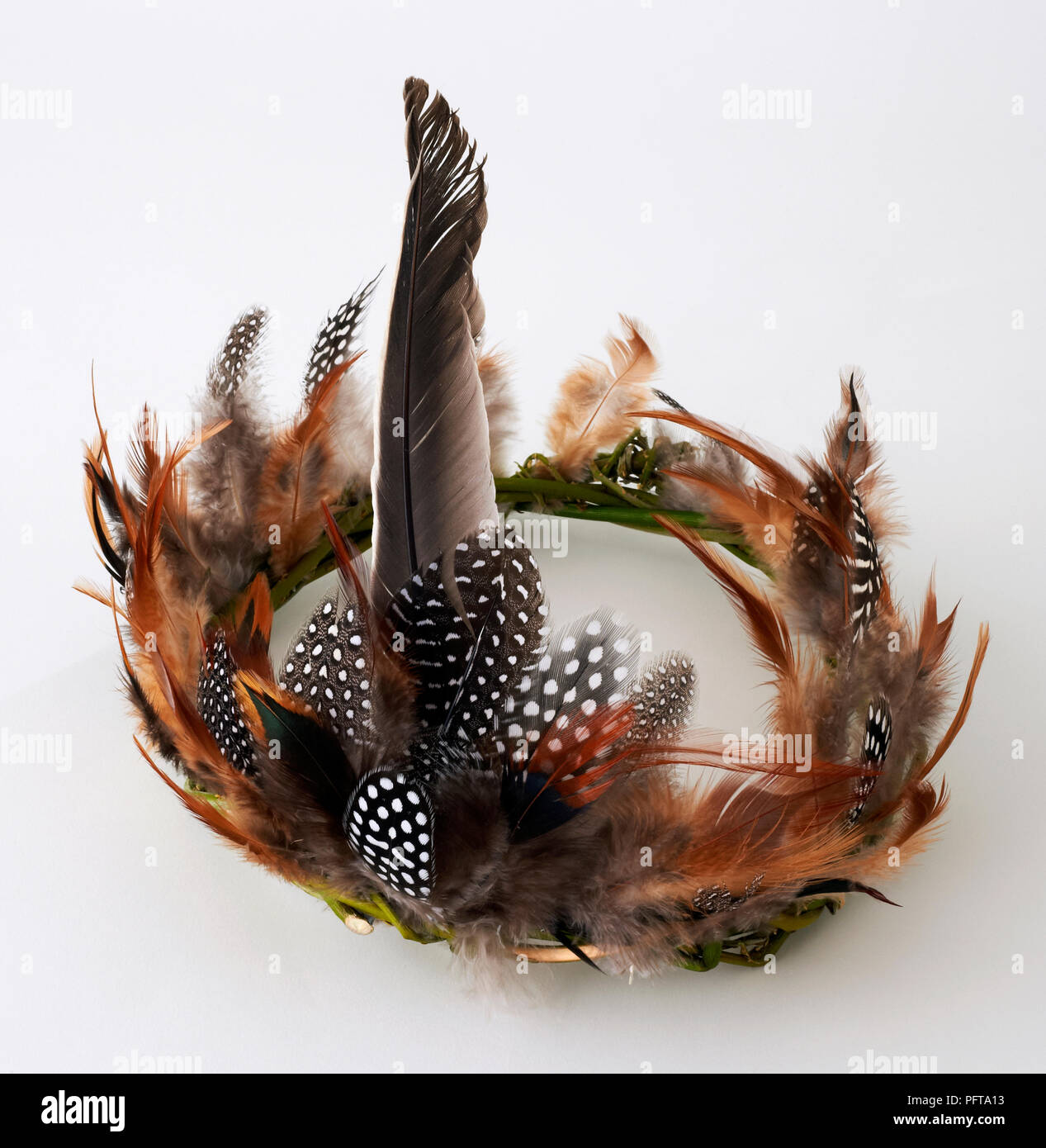 Accesorio de plumas fotografías e imágenes de alta resolución - Alamy