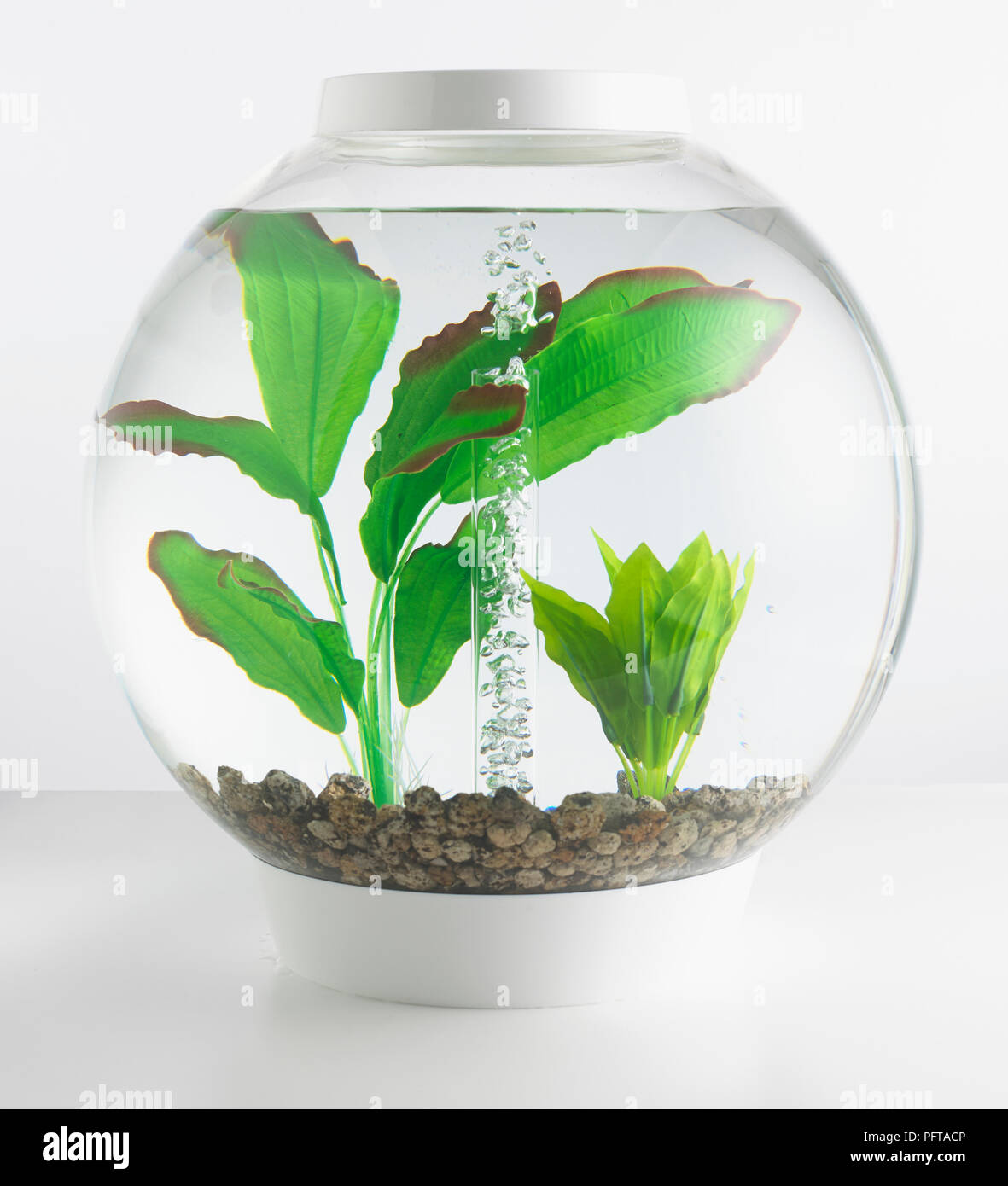 Goldfish Bowl con plantas artificiales Foto de stock