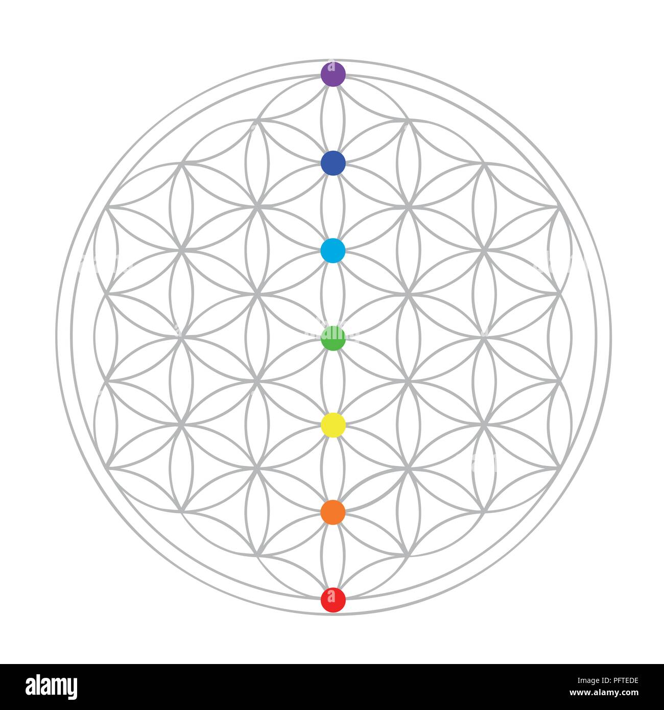 La geometría de la flor de la vida colorida ilustración vectorial EPS10 Ilustración del Vector