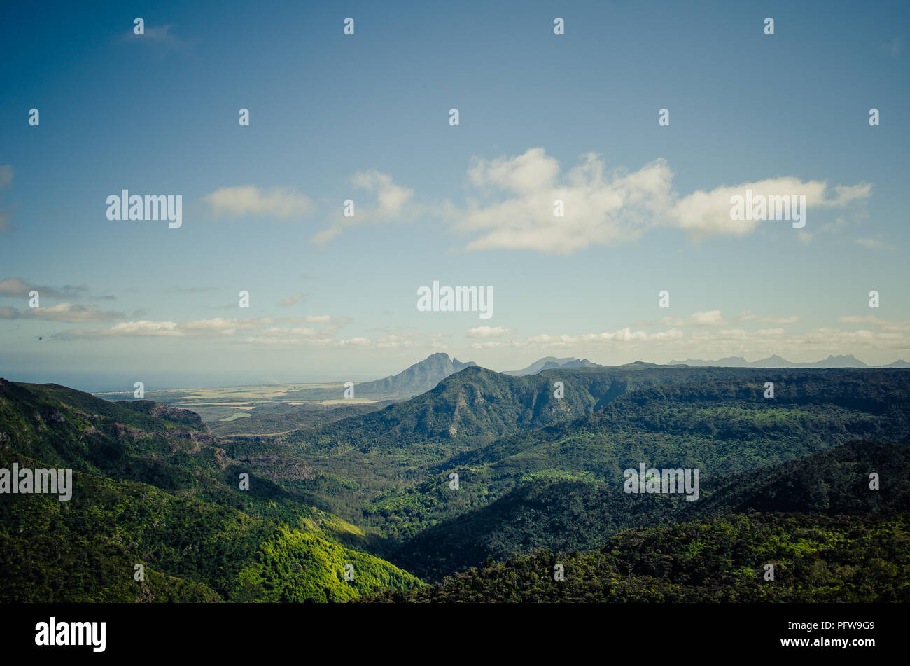 Selva Tropical De Mauricio Fotografías E Imágenes De Alta Resolución Alamy 3927