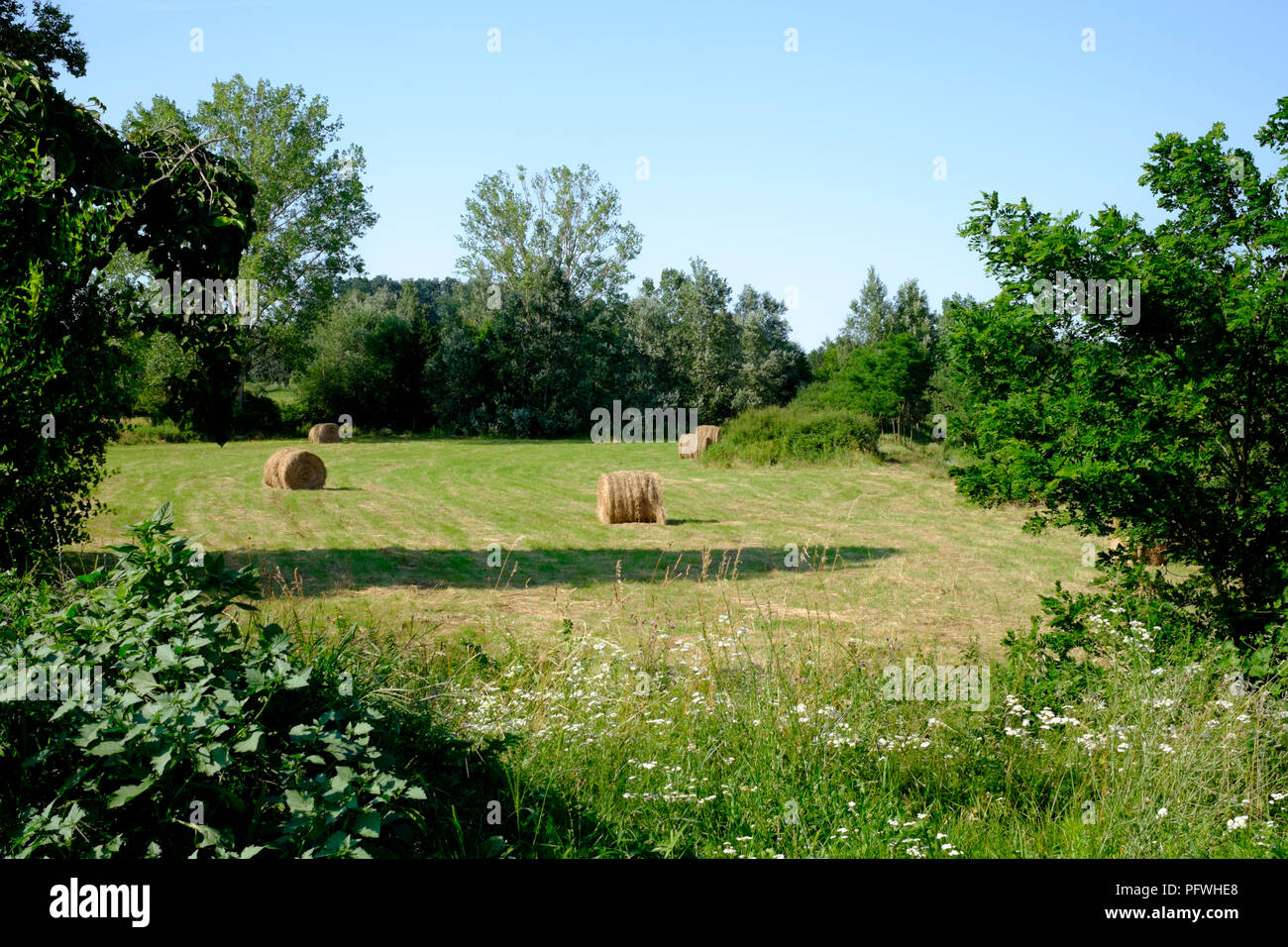Los fardos de heno en un campo entre la pintoresca campiña del condado de Zala hungría Foto de stock