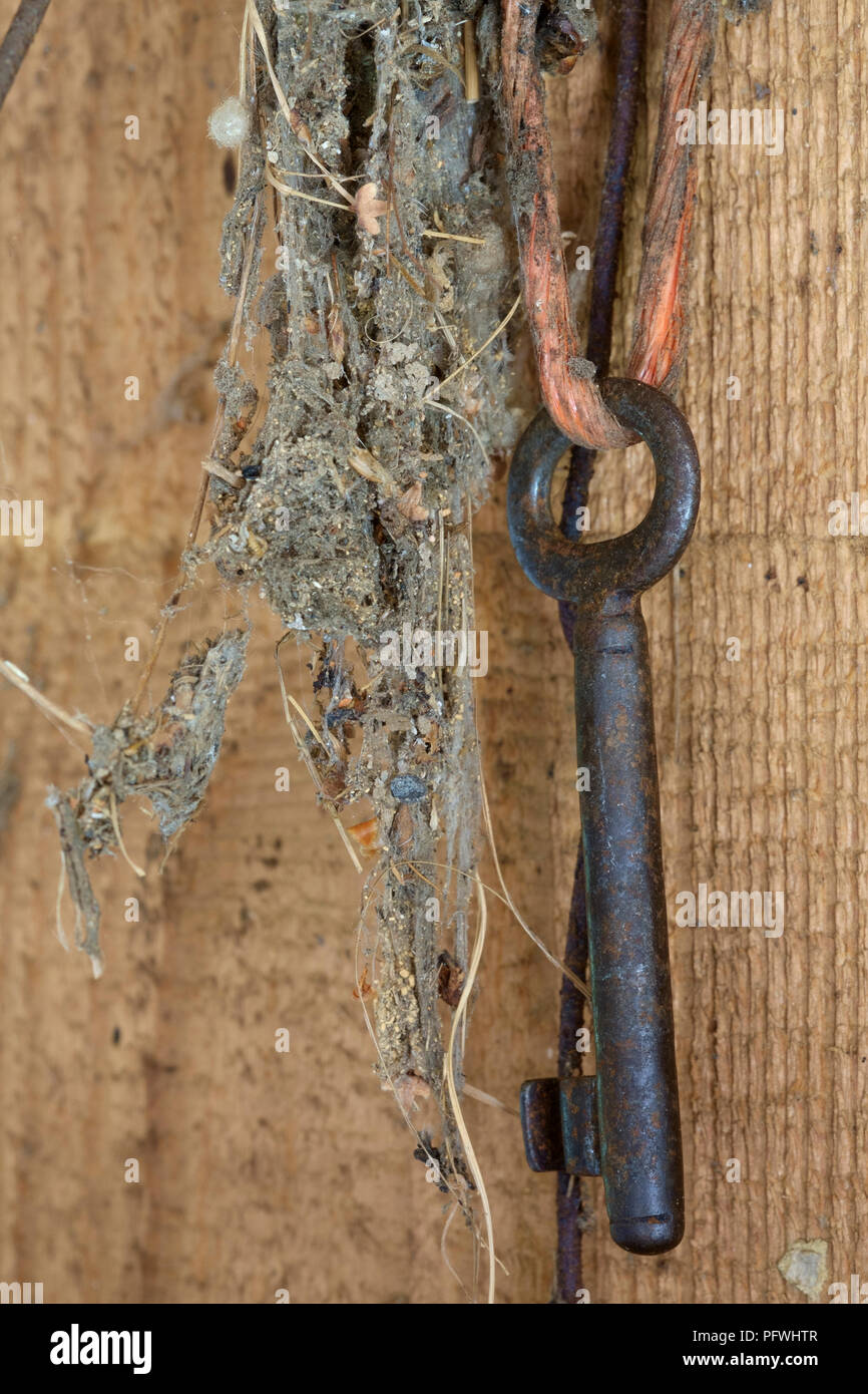 Llave antigua colgando de la cuerda en un viejo galpón polvoriento Foto de stock