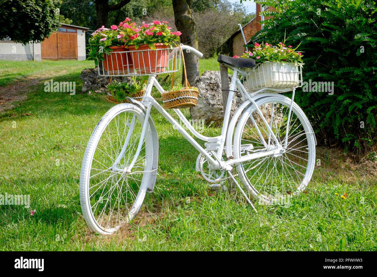 Bicicleta pintada de blanco y se utiliza en una casa de pueblo jardín  frontal para mostrar flores porszombat el condado de Zala hungría  Fotografía de stock - Alamy