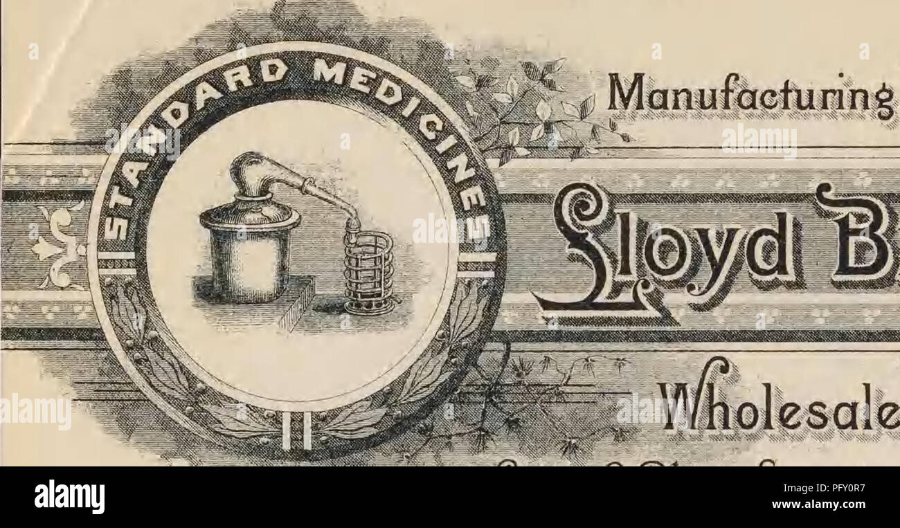 Curtis Gates Lloyd Cartas A Walter Deane 18 1917 Ambos Inclusive Correspondencia Lloyd C G Curtis Gates 1859 1926 Deane Walter 1848 1930 Los Botanicos Au Uojd N Shley Lloyd Q G Lloyd Anufactunng Farmaceuticos R V Olesale Ruggists
