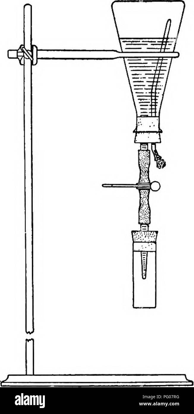 . Las enfermedades de las abejas. Las abejas. Septiembre 1,1932 Miel