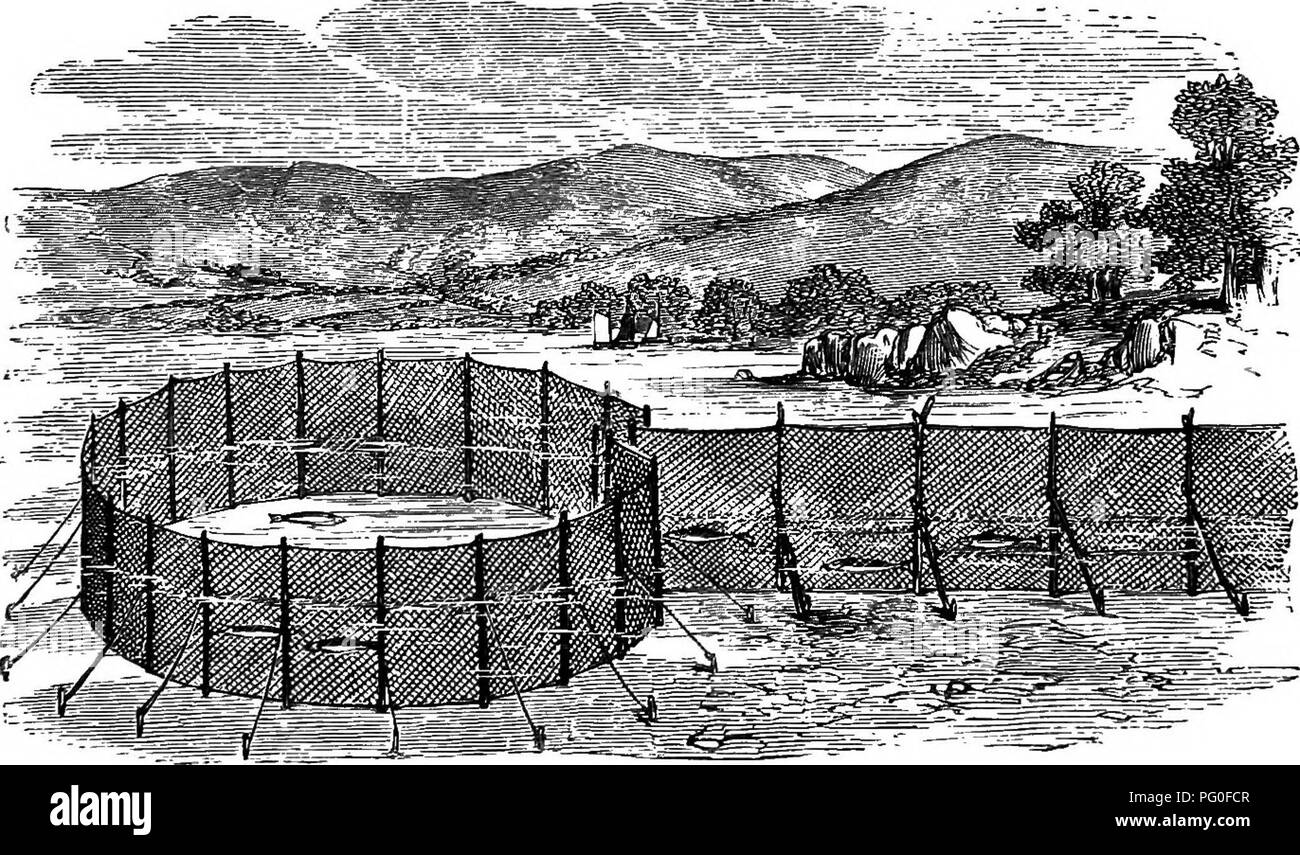 Encuentra las diferencias Imágenes de stock en blanco y negro Alamy