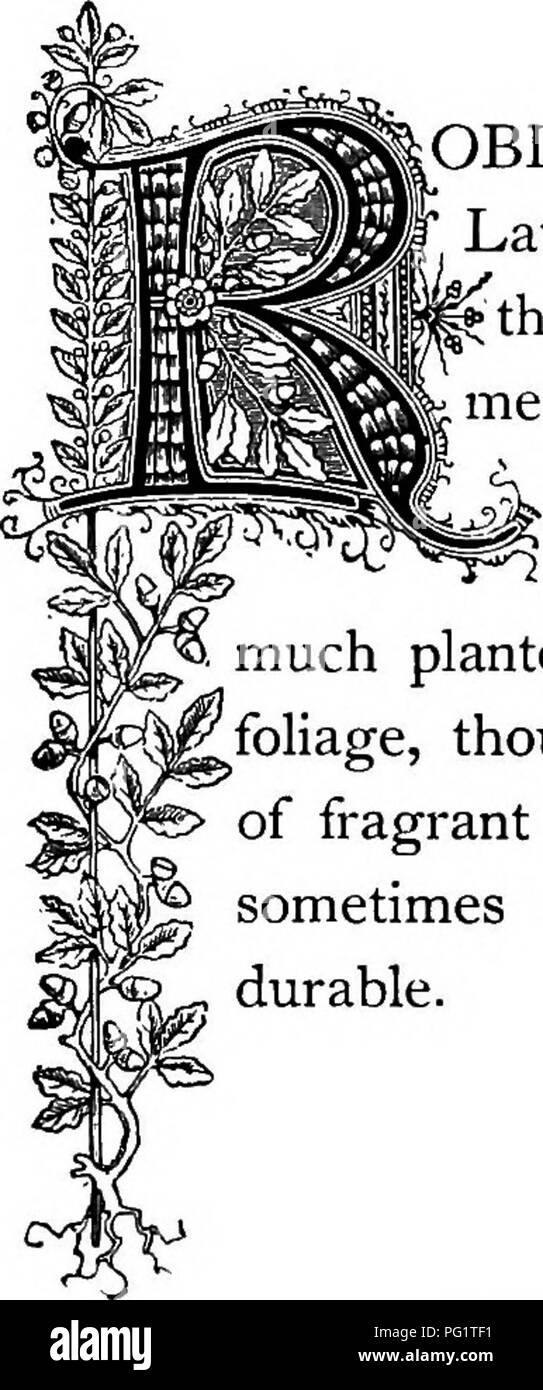 El reino floral : su historia, sentimiento y poesía : un diccionario de más de tres centenares de plantas, con los géneros y familias a las que pertenecen, y el idioma El reino floral : su historia, sentimiento y poesía : un diccionario de más de tres centenares de plantas, con los géneros y familias a las que pertenecen, y el idioma