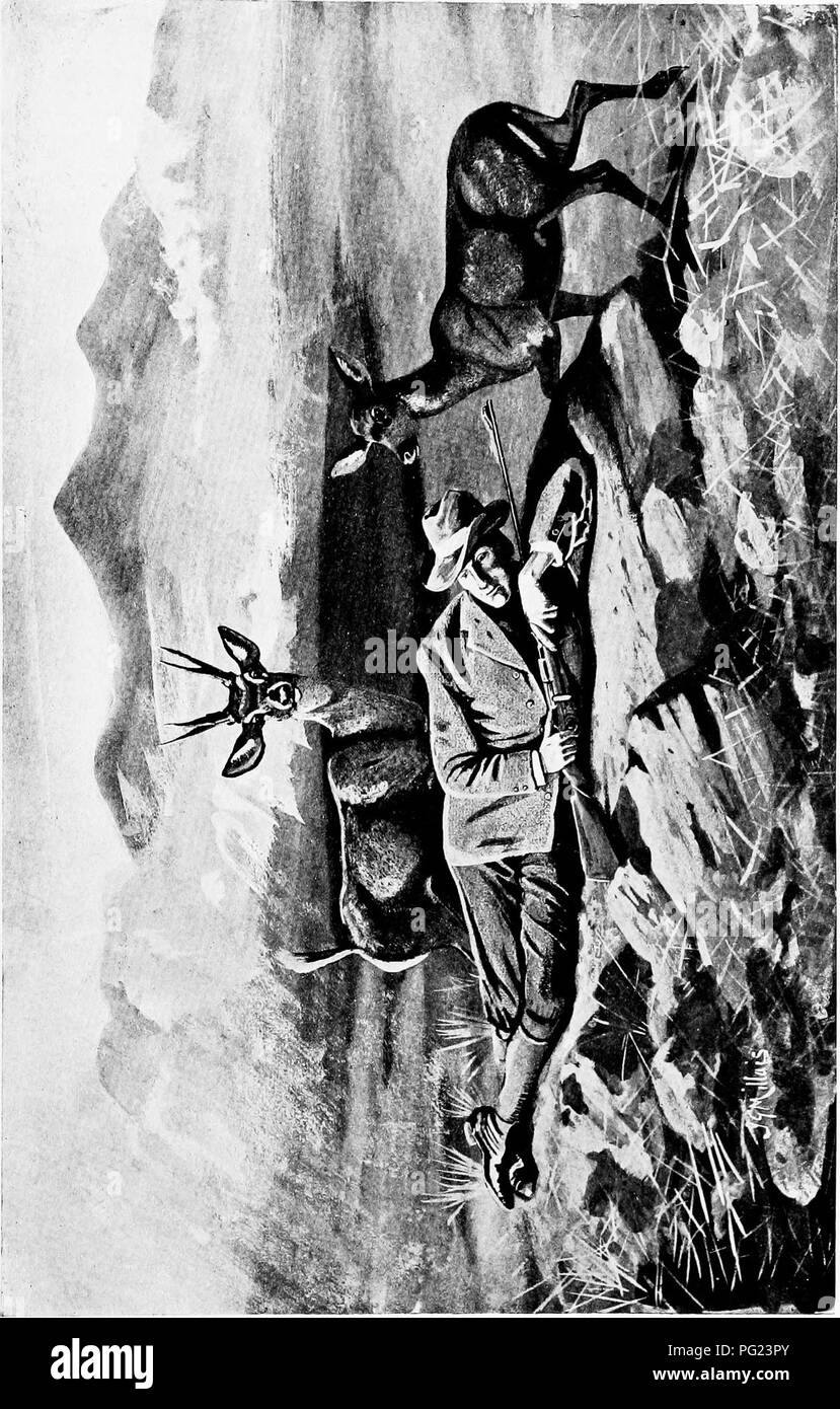 A Traves Del Corazon De La Patagonia Historia Natural G 3 W F Ir Lt Por Favor Tenga En Cuenta Que Estas Imagenes Son Extraidas De La Pagina Escaneada Imagenes