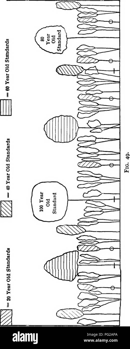 C8 Fotos E Imagenes De Stock Pagina 8 Alamy