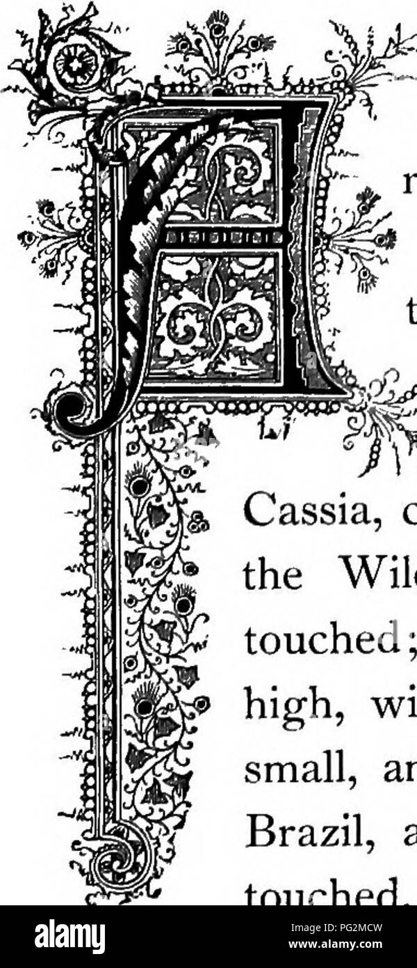 El Reino Floral Su Historia Sentimiento Y Poesia Un Diccionario De Mas De Tres Centenares De Plantas Con Los Generos Y Familias A Las Que Pertenecen Y El Idioma El Reino Floral Su Historia Sentimiento Y Poesia Un Diccionario De Mas De Tres Centenares De Plantas Con Los Generos Y Familias A Las Que Pertenecen Y El Idioma