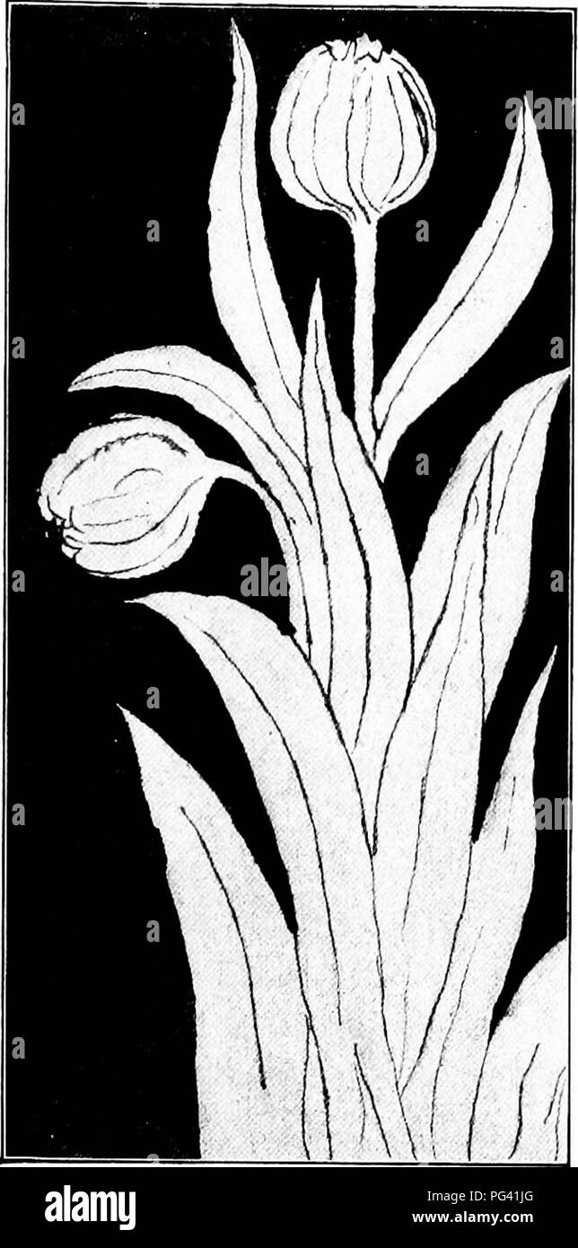 Estudio de la naturaleza; un manual para profesores y estudiantes. El estudio de la naturaleza. Correlación 63 temas para los lavados de tinta: muchas de las sub- rechaza puede estar representado Estudio de la naturaleza; un manual para profesores y estudiantes. El estudio de la naturaleza. Correlación 63 temas para los lavados de tinta: muchas de las sub- rechaza puede estar representado