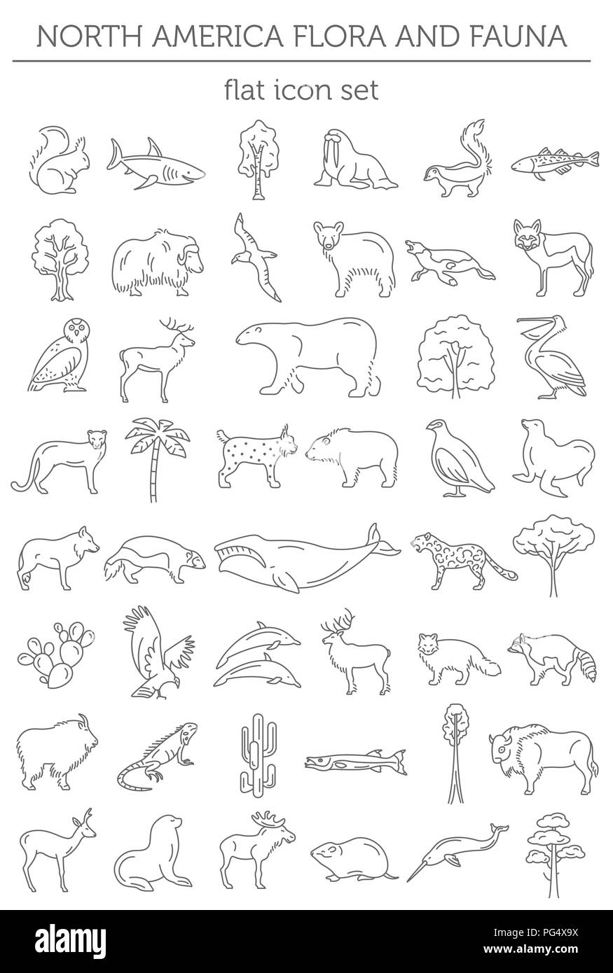 América del Norte plana elementos de flora y fauna. Animales, aves y vida marina línea simple conjunto de iconos. Ilustración vectorial Ilustración del Vector
