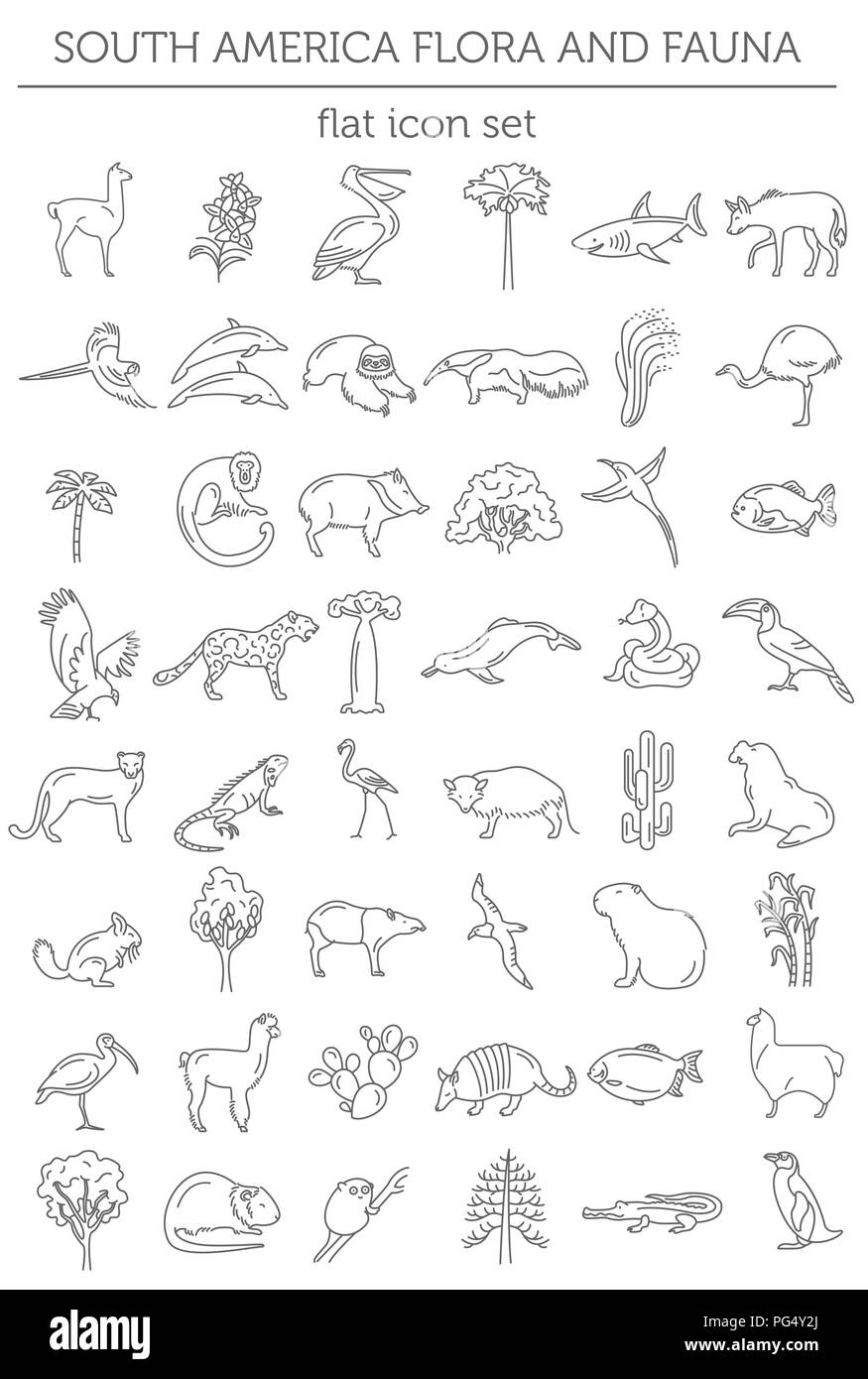 Sudamérica plana elementos de flora y fauna. Animales, aves y vida marina línea simple conjunto de iconos. Ilustración vectorial Ilustración del Vector